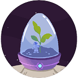 Terrarium