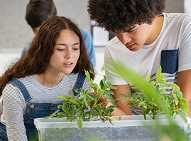 Student Research Project