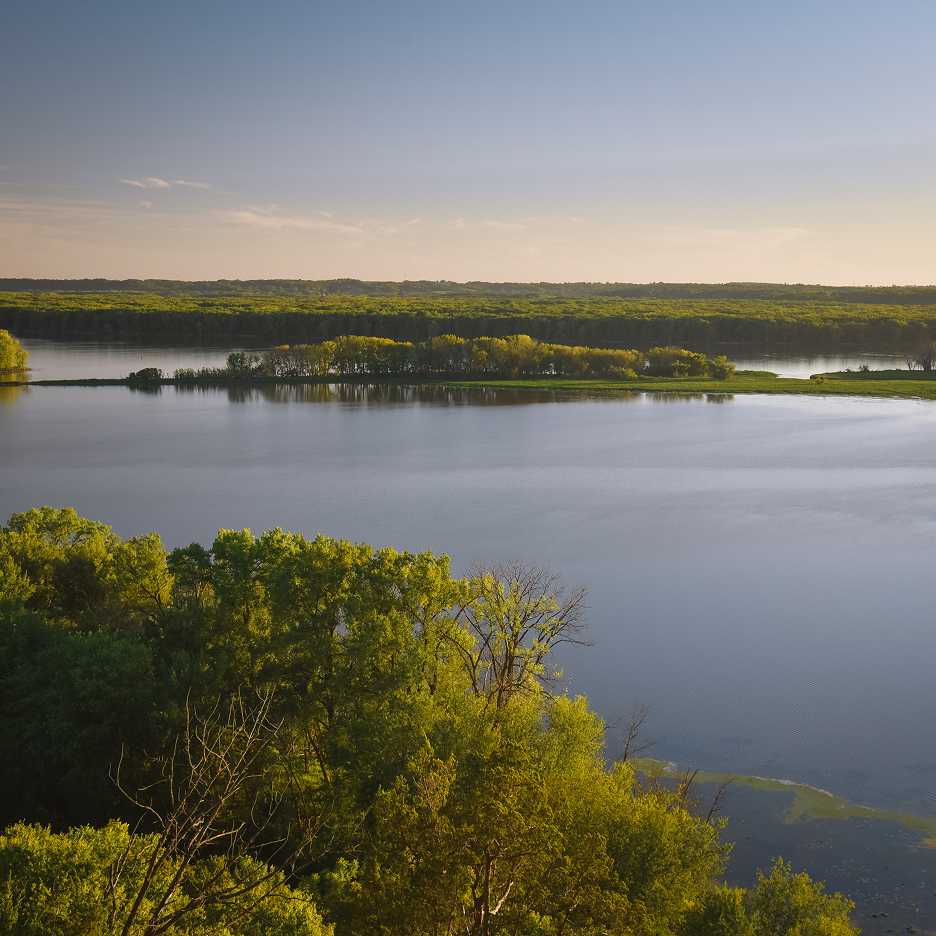 Scenic view of a river surrounded by green trees and vegetation under a clear blue sky.