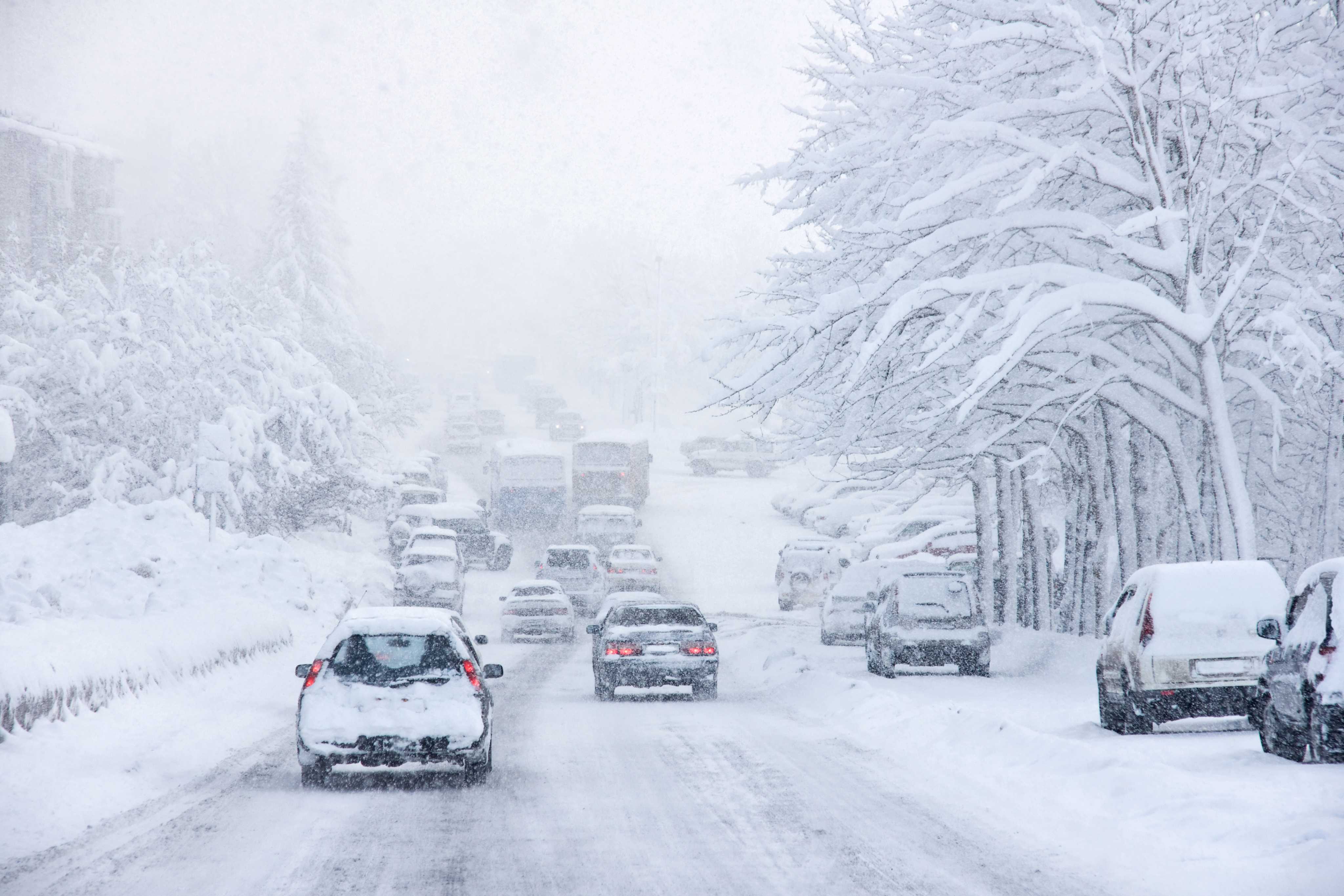 Heavy lake-effect snow on a road with vehicles driving through low visibility.