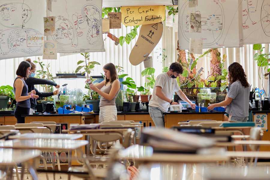 Two students attend to plants in their classroom