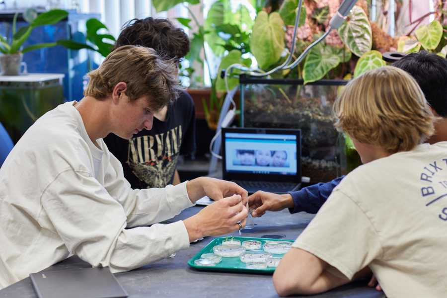 A group of students completing an experiment using petri dishes