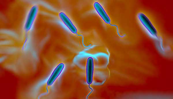 A simulated image of blue bacterium in an orange environment