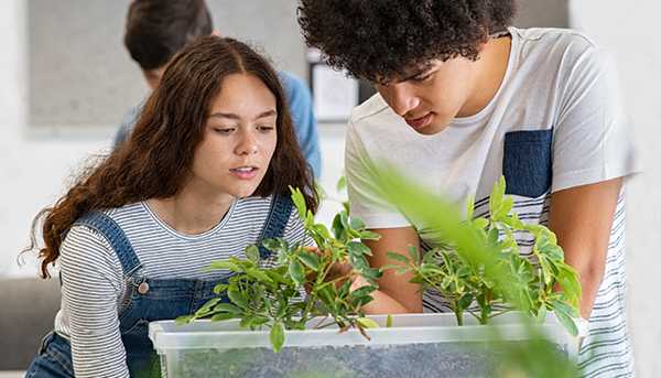 Two students lean over a tub where plans are growing