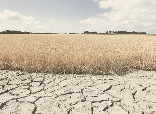 Climate Change